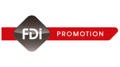 fdi promotion